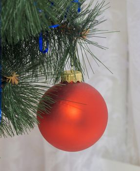beautiful Christmas tree toy hanging on green spruce branch