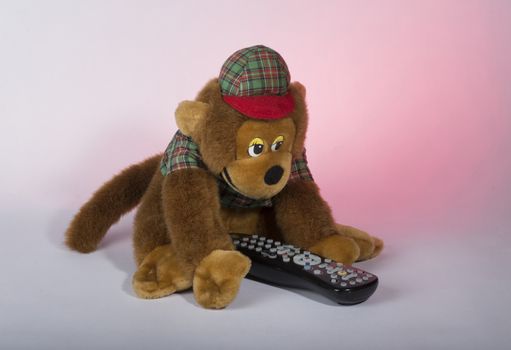 toy brown monkey in the cap holds the TV remote