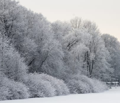Winter view of trees and objects covered with a thick layer of white fluffy snow