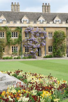 Cambridge university Courtyard with Flowers