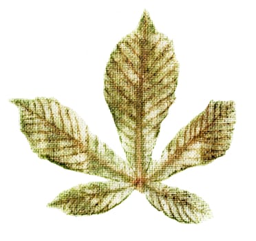 Stamp of leaves of chestnut on the fabric. Natural seal. Eco Printing. White background. Visible texture of fabric