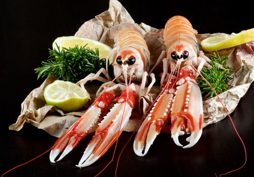 Two Big Raw Langoustines with Lime, Lemons Slices and Rosemary on Parchment Paper closeup on Black Wooden background