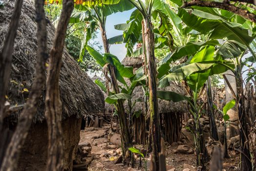 Traditional huts in a konso village, Ethiopia