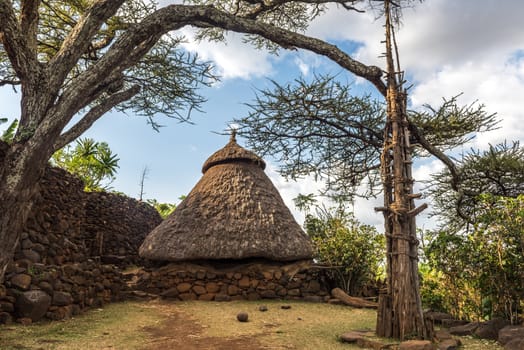 House of a Konso Village near to the generation tree