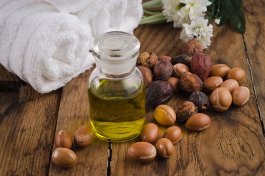 argan fruits used for cosmetic product