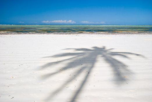 tropical beach of white sand in Zanzibar, Tanzania