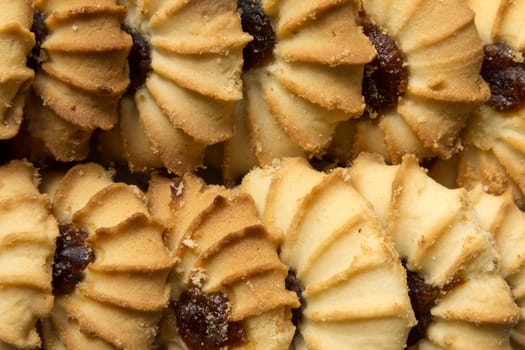 fresh delicious round cookies close-up big group