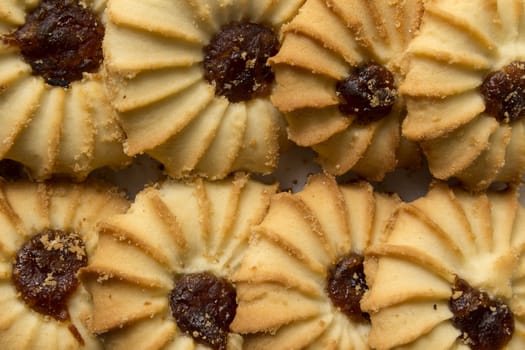 fresh delicious round cookies close-up big group