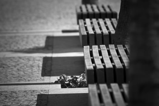 Lined wooden benches in black and white