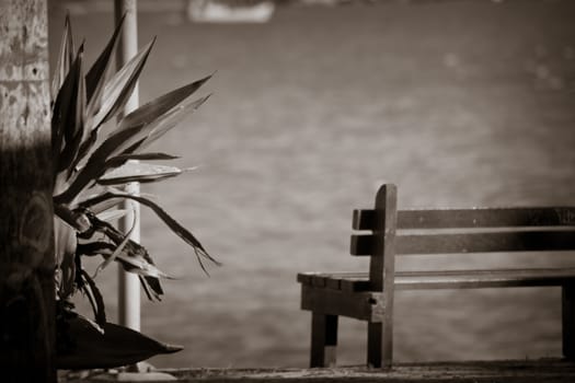 wooden bench in front of the sea