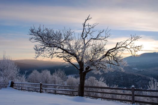 Carpathian mountain valley covered with fresh snow. Majestic landscape. Ukraine, Europe