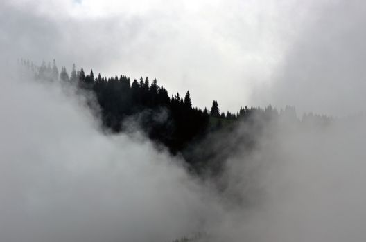 Amazing mountain landscape with dense fog. Carpathian Mountains