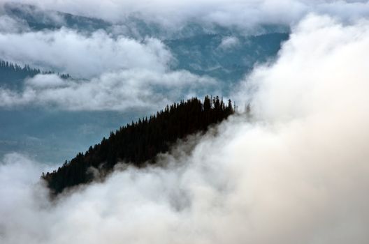 Amazing mountain landscape with dense fog. Carpathian Mountains