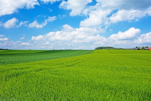Green field, farmland with blue sky and clouds, windmills in the background