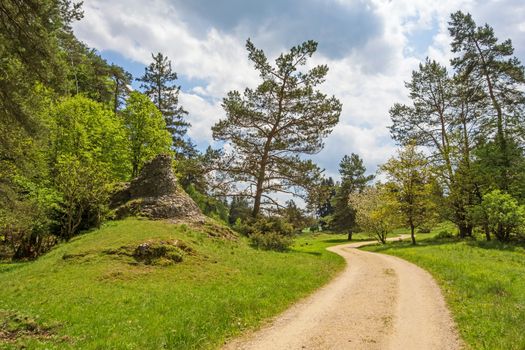 Path through the Wental valley at Swabian Alps near Steinheim and Bartholomae