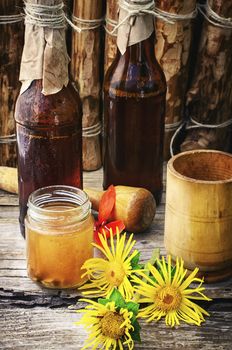 Medicinal folk remedy tincture from the roots of inula
