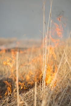 burns dry grass fire in a rural location