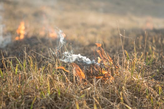 burns dry grass fire in a rural location