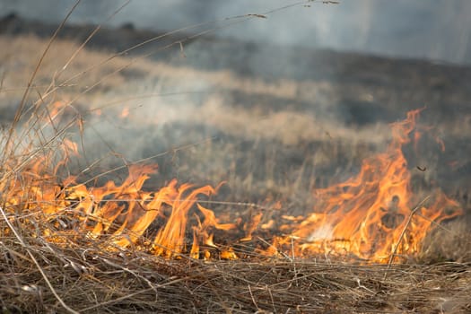 burns dry grass fire in a rural location