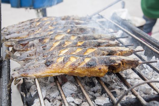 Catfish, grilled on a hot stove