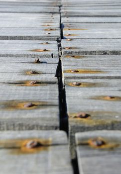 Rusty nails hammered on the boards rot