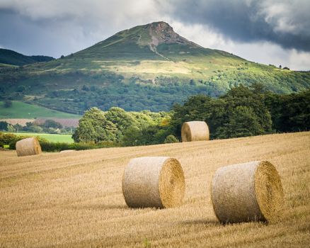 Summer Harvest with Roseberry Topping in the background, North Yorkshire UK