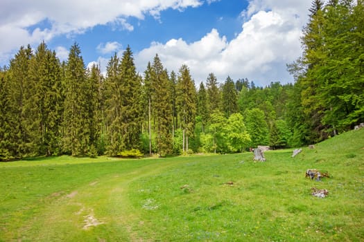 The Wental valley at Swabian Alps near Steinheim and Bartholomae