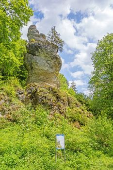 Steinheim, Wental, Germany - May 26, 2016: Impressive rock "Wentalweible" along the educational trail "Wentallehrpfad" at Swabian Alps