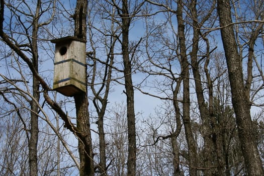 owl nesting box