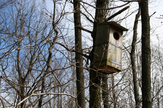 owl nesting box