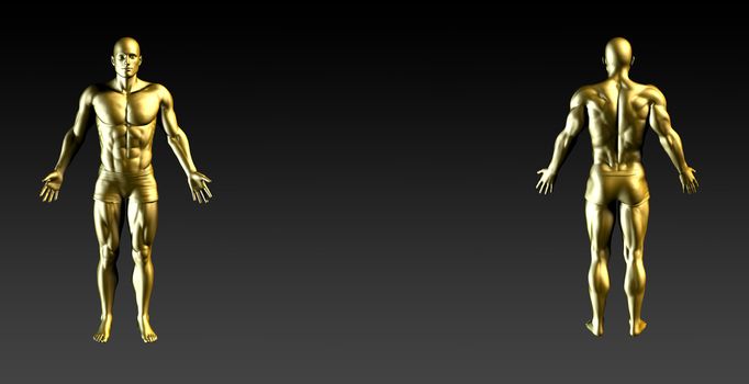 Human Body Presentation Background for Medical Anatomy Art