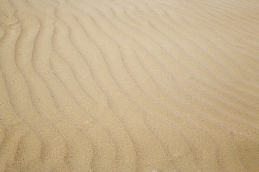 Close-up photo of the sand dunes in arid area