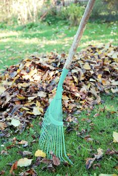 Autumn cleaning