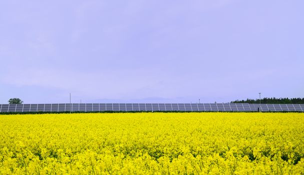 Yellow rape field with solar power station.