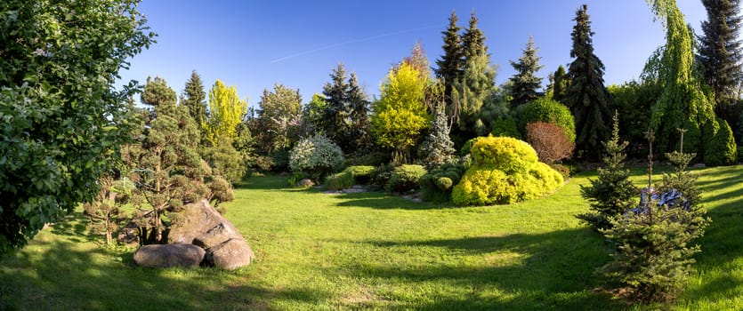 Beautiful spring garden design, with conifer trees, green grass and eneving sun. Luxury design, Gardening. Green garden in spring with blue sky
