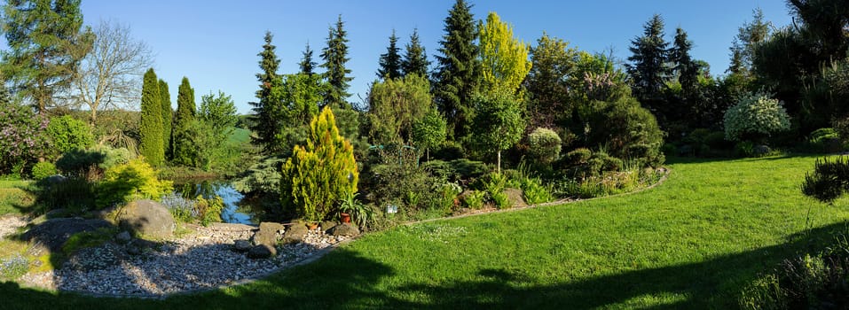 Beautiful spring garden design, with conifer trees, green grass and eneving sun. Luxury design, Gardening. Green garden in spring with blue sky