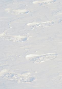 Image of several footprints in snow.