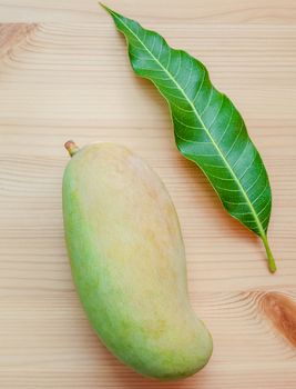 Fresh organic traditional thai mangoes high vitamins and minerals set up on wooden table.