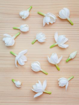 White jasmine flowers on wooden background. The delicate rain season flowers.