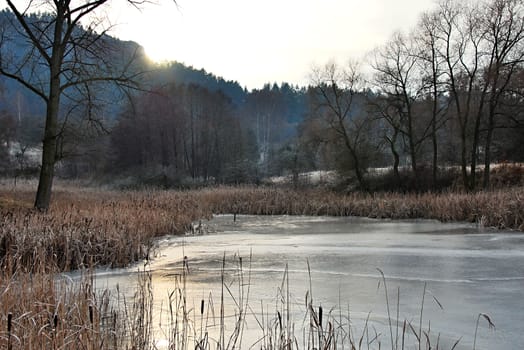 Pond near the forest at winter.