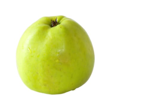 GREEN APPLE 