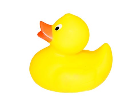 Classic yellow plastic duck with white background