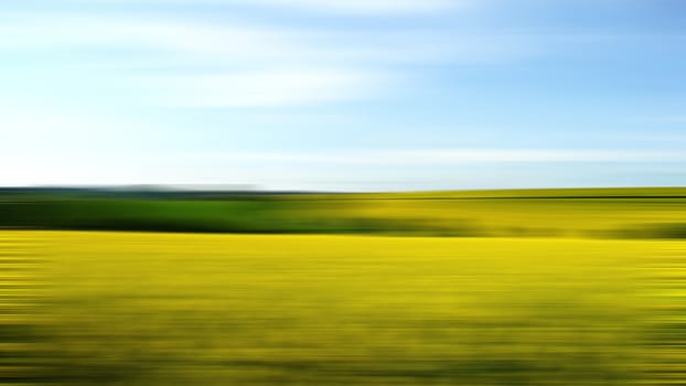 Abstract blurred image of summer landscape.