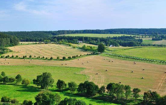 View on the fields and meadow in Middle Bohemia (Czech Republic).