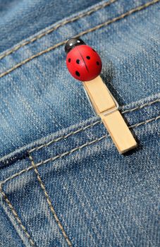 Closeup shoot of jeans pocket with small wooden peg with ladybird.