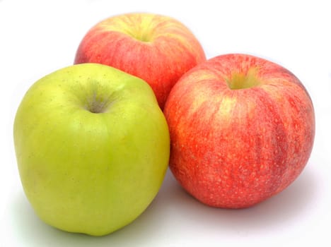 Red and green apples placed on the white background.