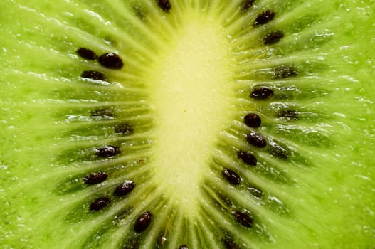 Macro shoot of fresh kiwi.