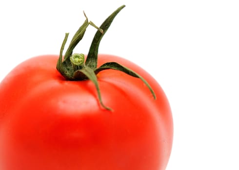 Fresh red tomatoes, placed on the white background.