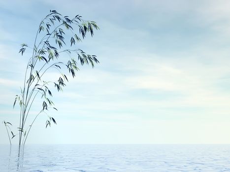 Bamboo and water by day - 3D render