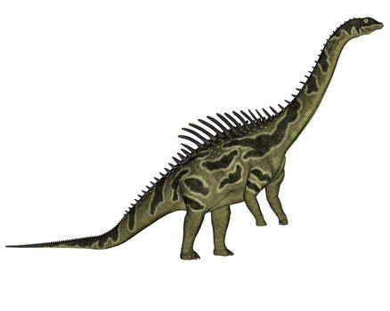 Agustinia dinosaur standing up isolated in white background - 3D render